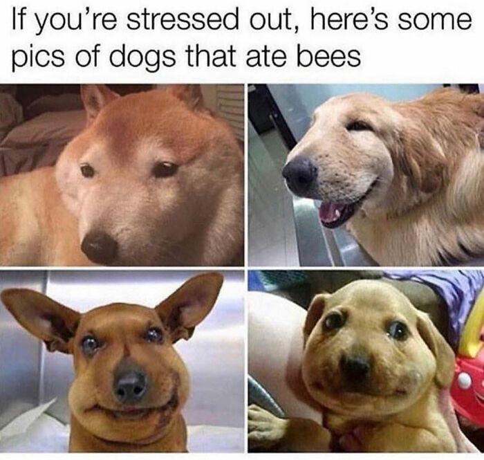 Relatable-Funny-Memes