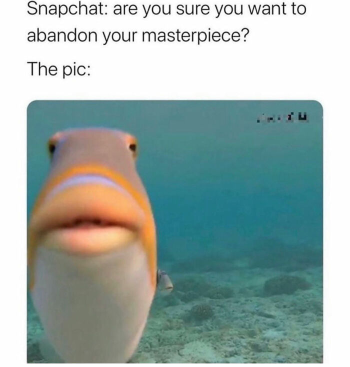 Relatable-Funny-Memes