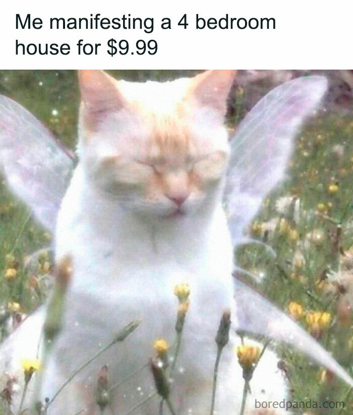Cat with fairy wings surrounded by flowers, iconic internet meme.