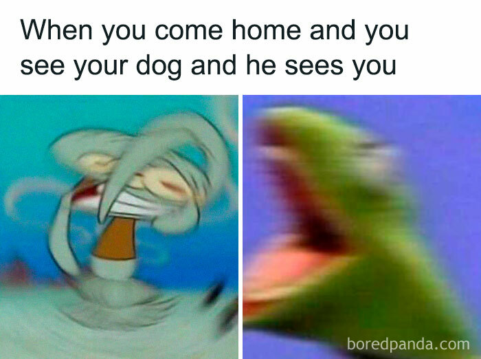 Squidward and Kermit blurred reaction meme, iconic example of internet culture humor.