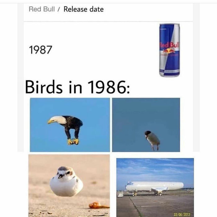 Relatable-Funny-Memes