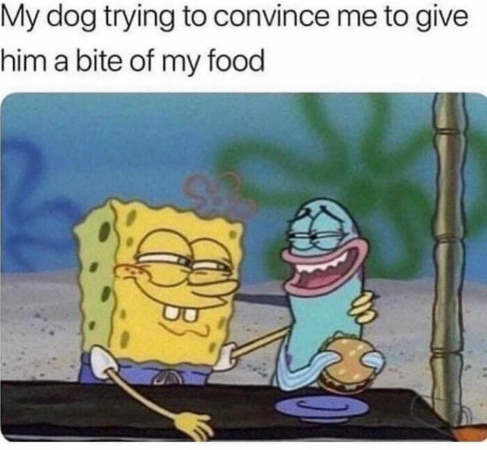 Relatable-Funny-Memes