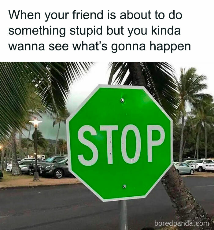 Green stop sign meme with caption about amusingly risky situations, showing internet culture's humor.