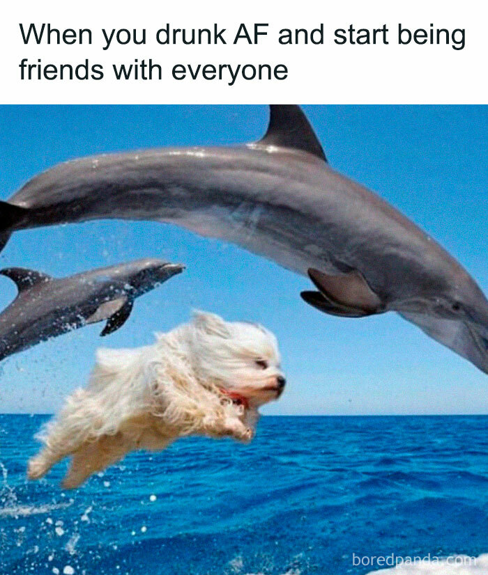Dog flying beside dolphins with funny caption, iconic internet meme.