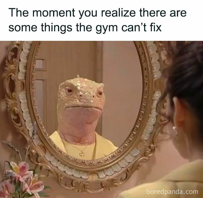 Lizard looking in a mirror with a humorous caption, epitomizing internet culture memes.