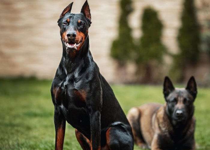 Restaurant And Bar Employees Reveal 30 Shady Cost-Saving Secrets The General Public Is Not Aware Of