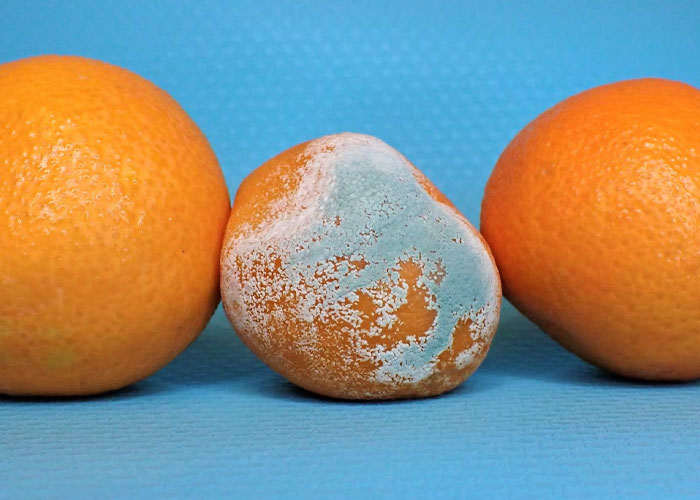 Restaurant And Bar Employees Reveal 30 Shady Cost-Saving Secrets The General Public Is Not Aware Of