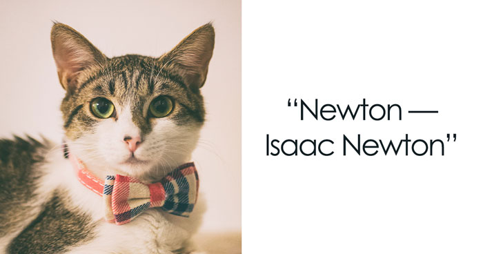 Scientific Cat Names For Your Purring Pet