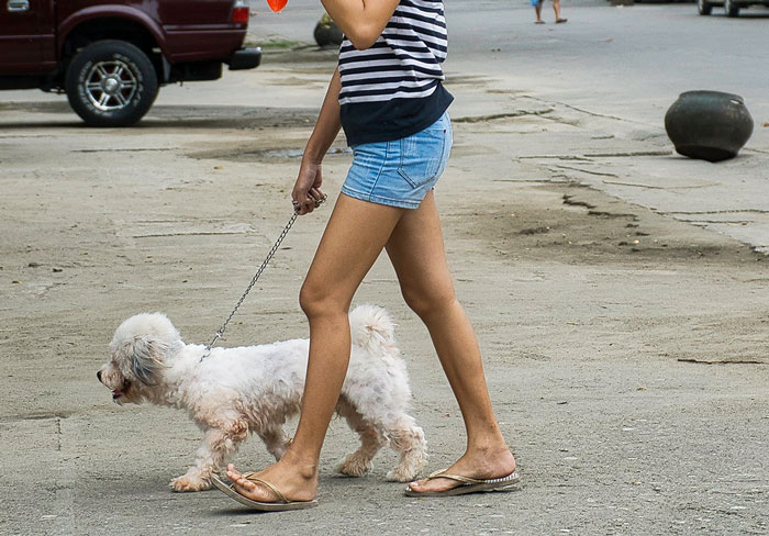 Woman Refuses To Let Down A Client Who Booked A Year In Advance Just So Parents Can Go On A Dog-Free Trip, Gets Called A Jerk