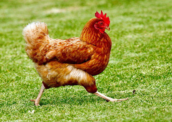 30 People Who Watch Security Cameras For A Living Are Sharing The Worst Things They’ve Caught On Them