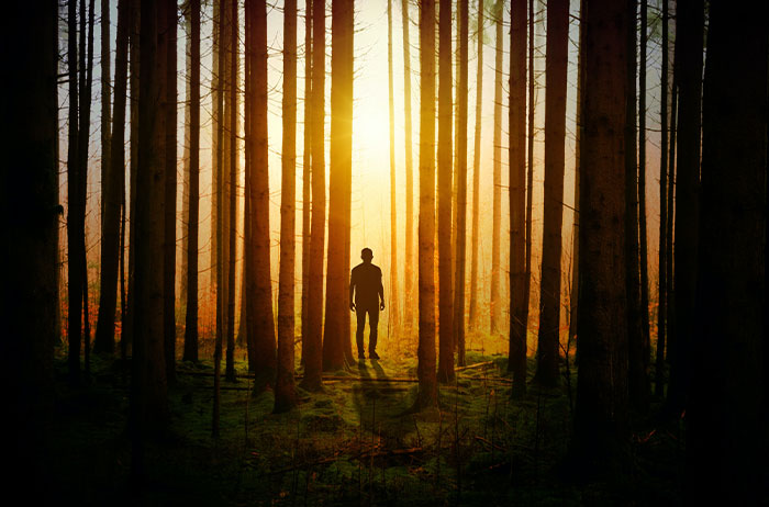 30 People Who Watch Security Cameras For A Living Are Sharing The Worst Things They’ve Caught On Them