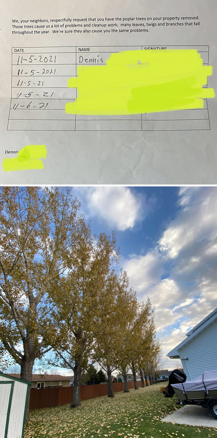 My Neighbor Has Been Giving Me Repeated Notes To Cut Down My Trees, These Are My Trees