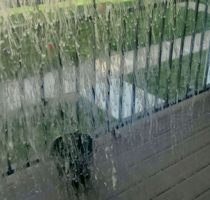 My Upstairs Neighbors Left Their Trash On Their Porch During A Rainstorm, And Now My Window Is Covered In Rotten Milk Trash Juices
