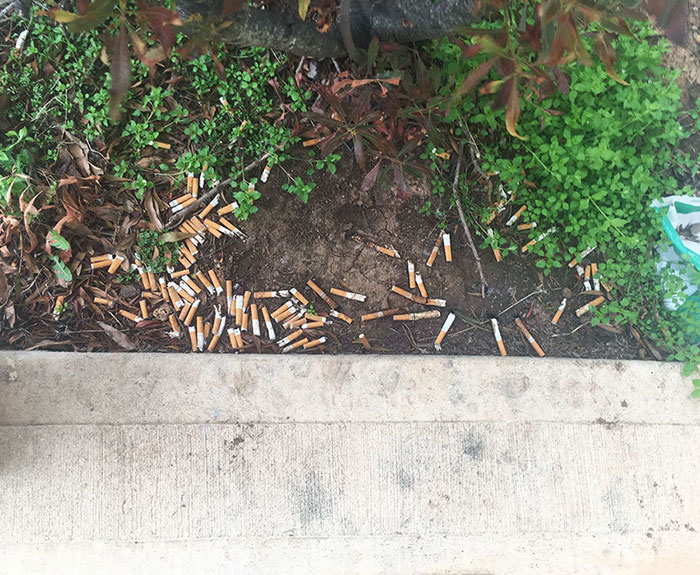 My Neighbor Is A Smoker. The Hallway By My Door Always Smells Like Cigarettes