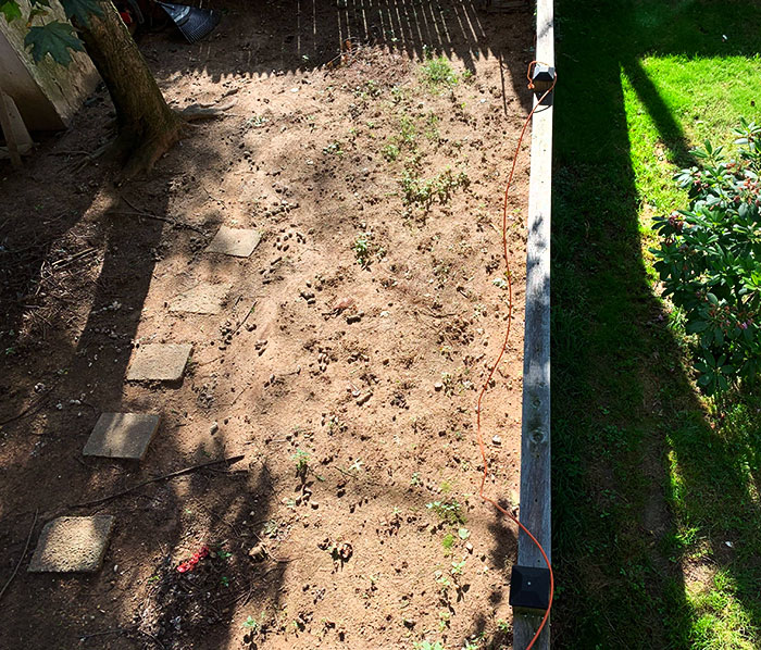 My Neighbor’s Yard. Yes, It’s Full Of Feces