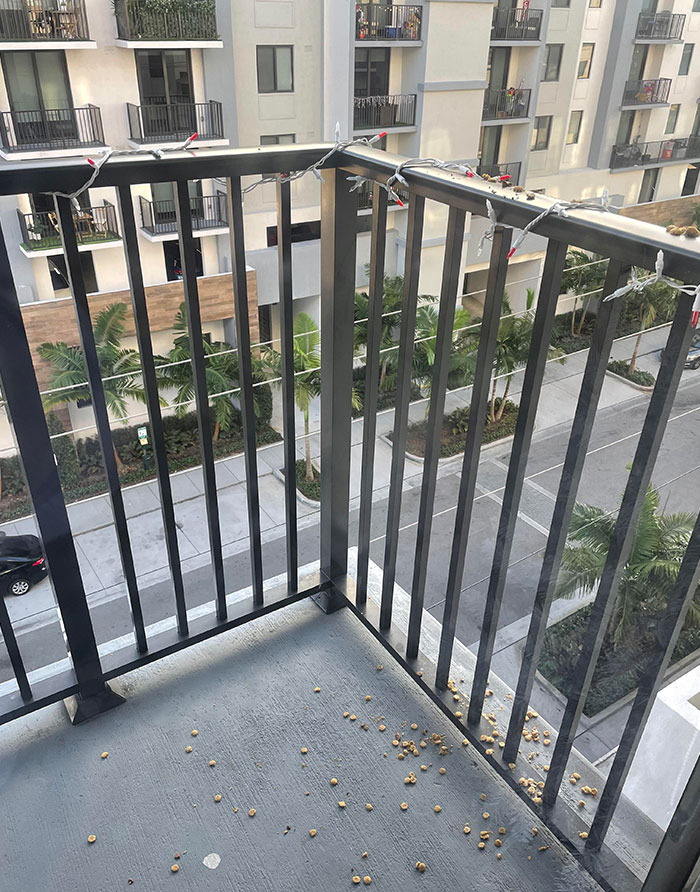 Los vecinos han estado vertiendo lejía, orina de perro y agua sucia de fregona en mi balcón. El regalo de hoy fue el vómito del perro