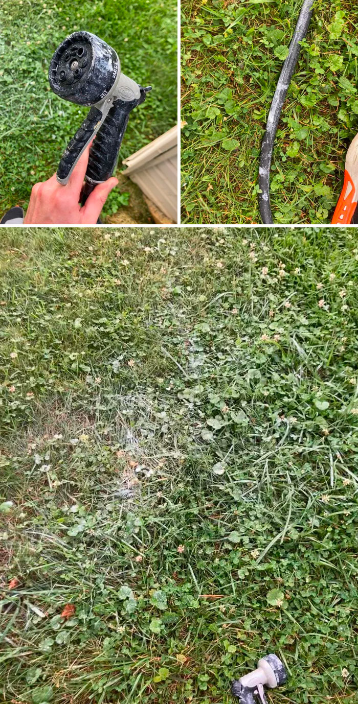 Came Home From Vacation To Find My Neighbor’s Painter Using My Hose To Wash Out Used Paint Trays In My Yard