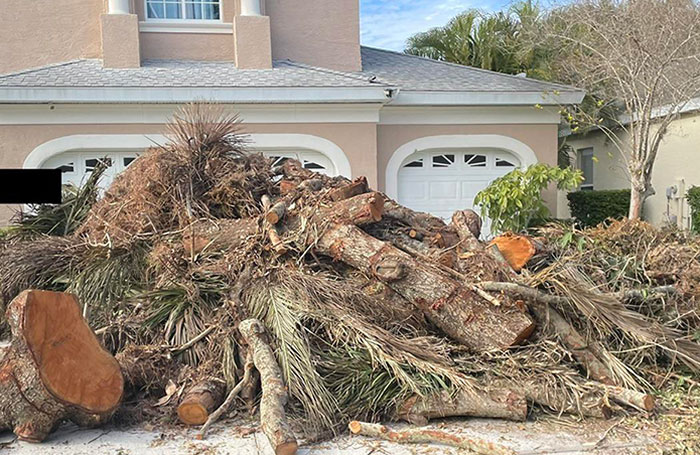 Mi vecino "supuestamente" se negó a pagar al tipo que limpió su patio trasero. Llegará a casa y se encontrará con este regalo en su entrada