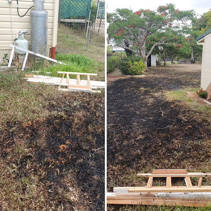 El hijo de mis vecinos se escondía de ellos para poder fumar a escondidas, apagó su colilla en nuestra melaleuca y le prendió fuego y a mi patio trasero también