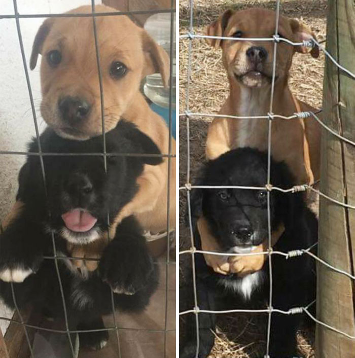 Best Buds, Then And Now