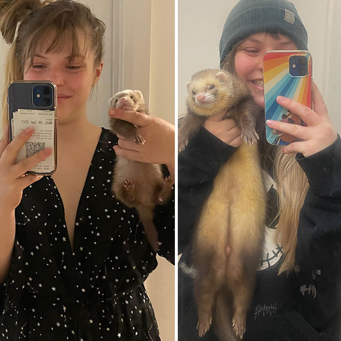 6-Weeks-Old vs. 6-Months-Old Noodle