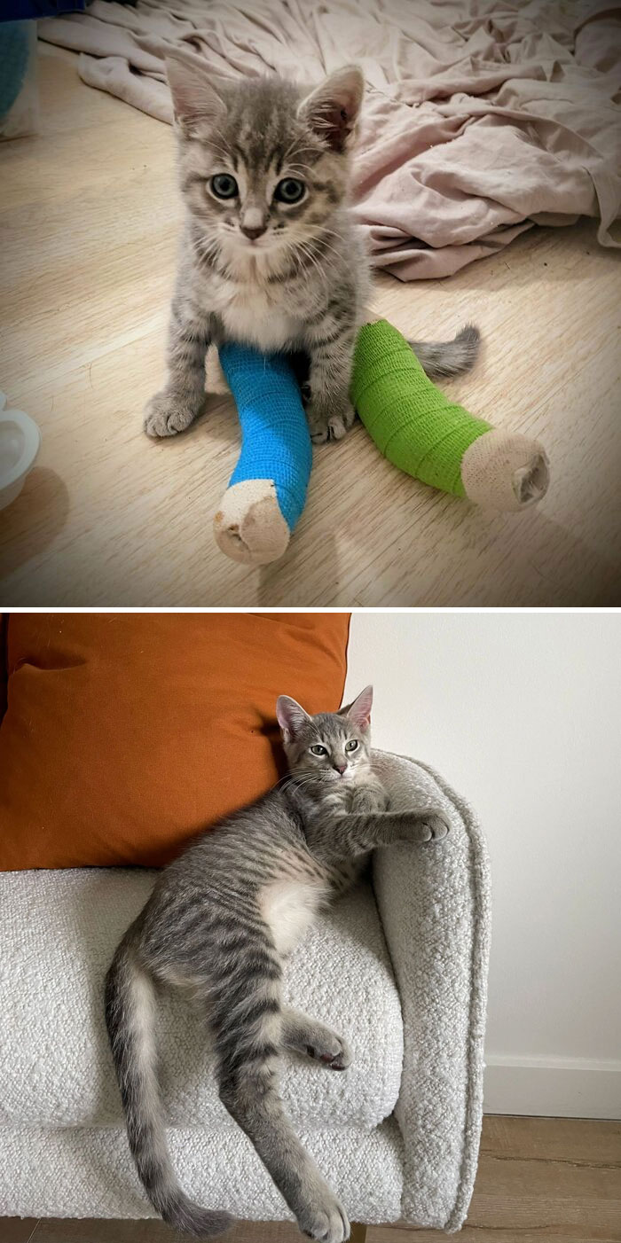 De patas rotas a patas largas