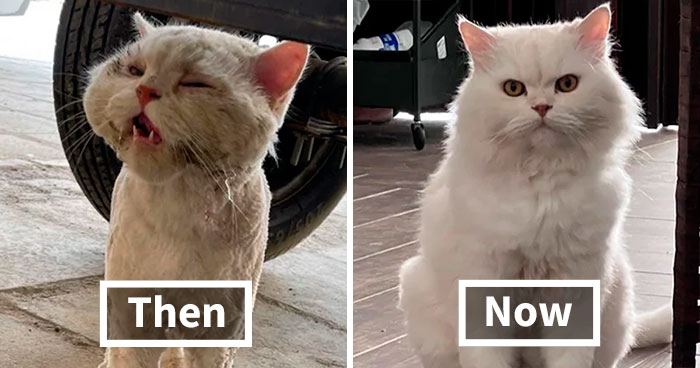 50 Interesting Comparison Images That Help Make Sense Of The Things Around Us (New Pics)