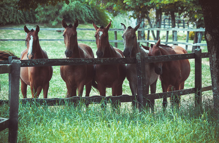 People Share 30 Luxuries That Used To Be Just Normal Things