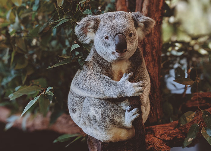 Someone Asked People "What Is A True Fact That Sounds Fake?" And 40 Delivered Illuminating Responses