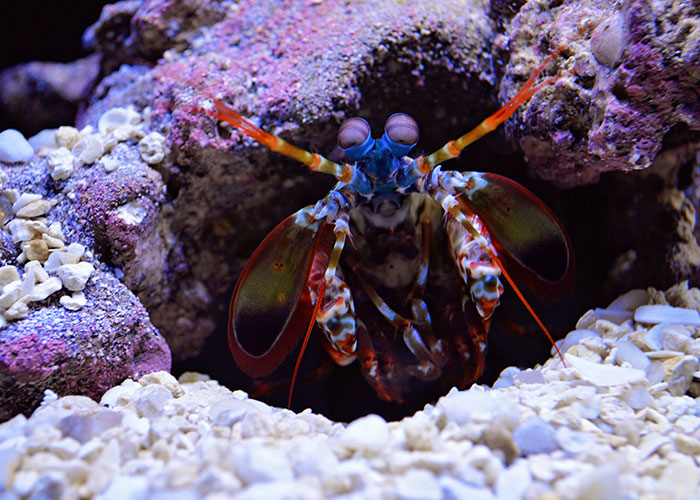 Someone Asked People "What Is A True Fact That Sounds Fake?" And 40 Delivered Illuminating Responses