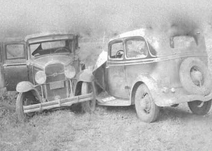 Someone Asked People "What Is A True Fact That Sounds Fake?" And 40 Delivered Illuminating Responses