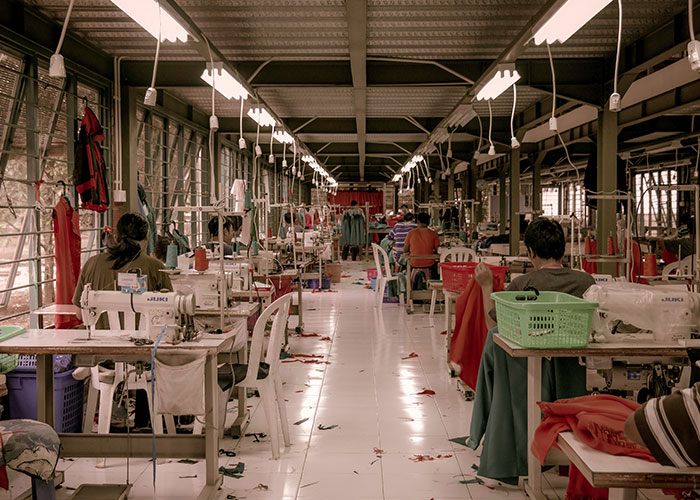 Someone Asked People "What Is A True Fact That Sounds Fake?" And 40 Delivered Illuminating Responses