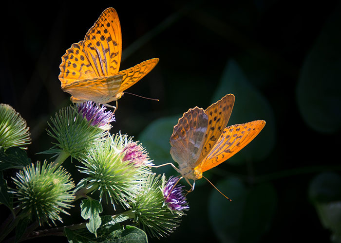 Someone Asked People "What Is A True Fact That Sounds Fake?" And 40 Delivered Illuminating Responses