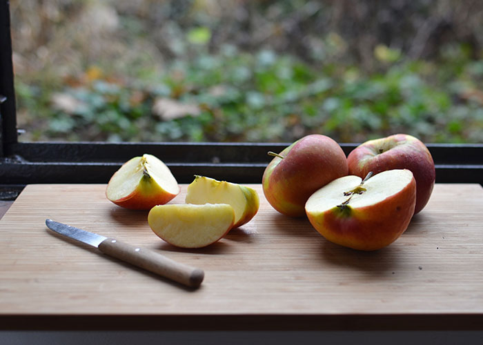 Someone Asked People "What Is A True Fact That Sounds Fake?" And 40 Delivered Illuminating Responses