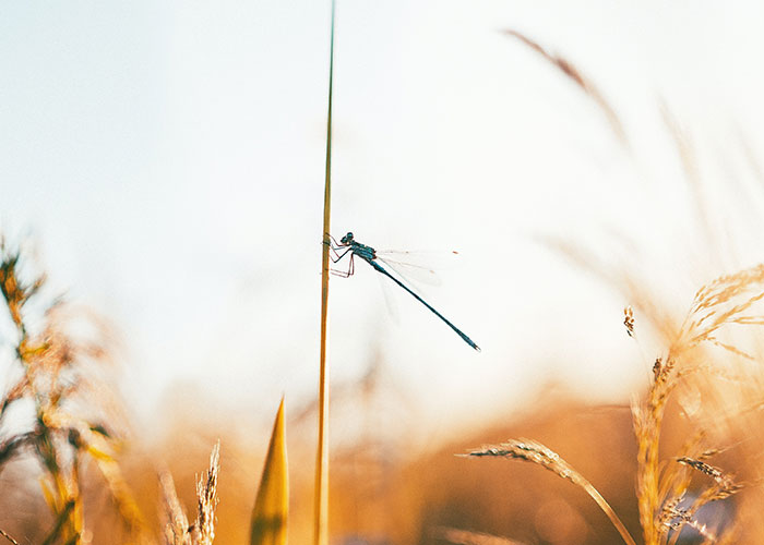 Someone Asked People "What Is A True Fact That Sounds Fake?" And 40 Delivered Illuminating Responses