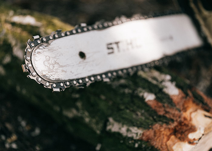 Someone Asked People "What Is A True Fact That Sounds Fake?" And 40 Delivered Illuminating Responses