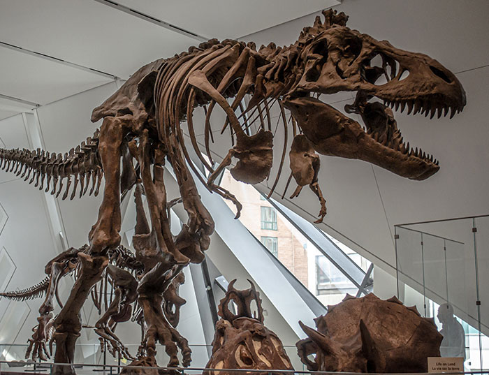 Someone Asked People "What Is A True Fact That Sounds Fake?" And 40 Delivered Illuminating Responses