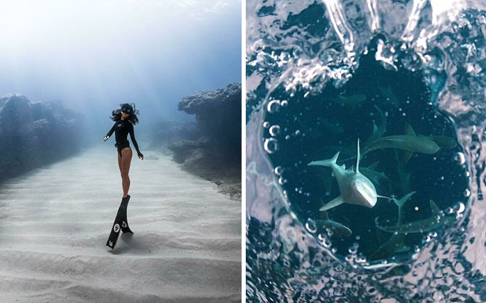 People Online Share 30 Incredible Photos That Were Taken Underneath The Water