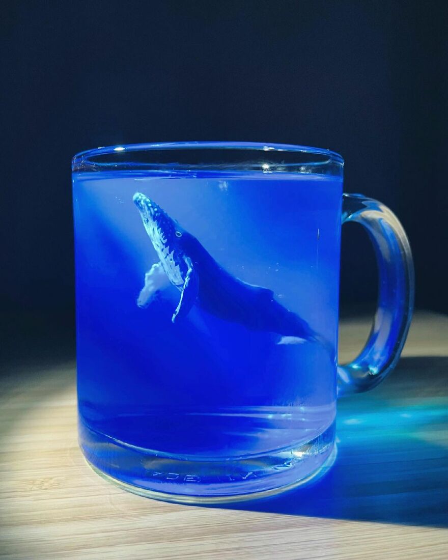 We Are Determined To Find Solutions To Preserve The World For Every One Of Us To Thrive