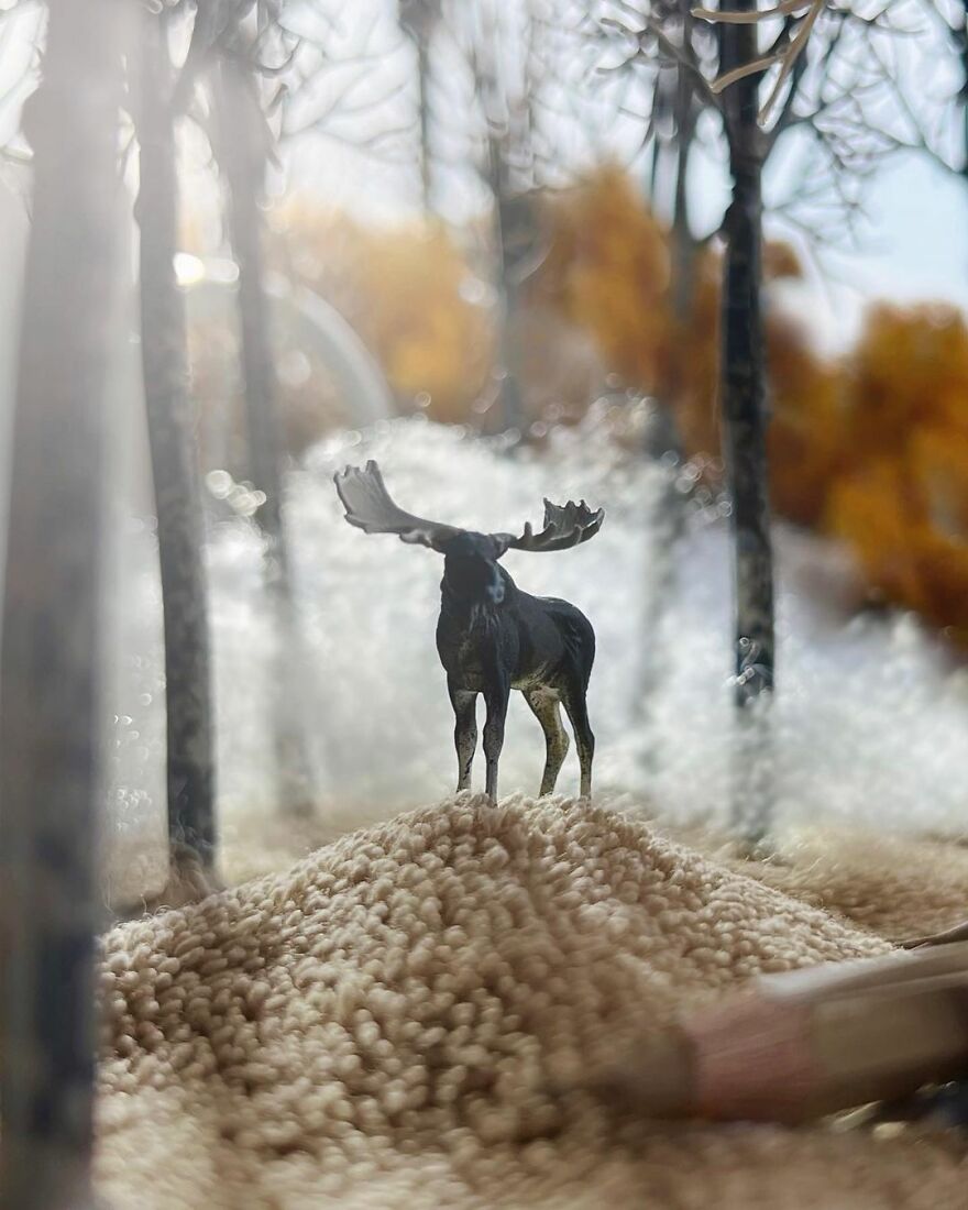 We Always Find Epiphany Whenever And Wherever Least Expected