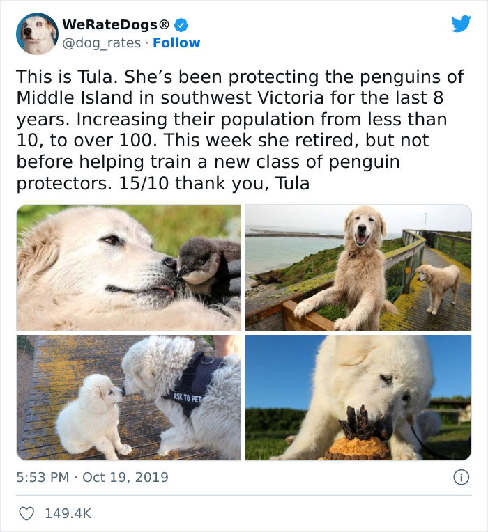 Very-Important-Positivity-Posts