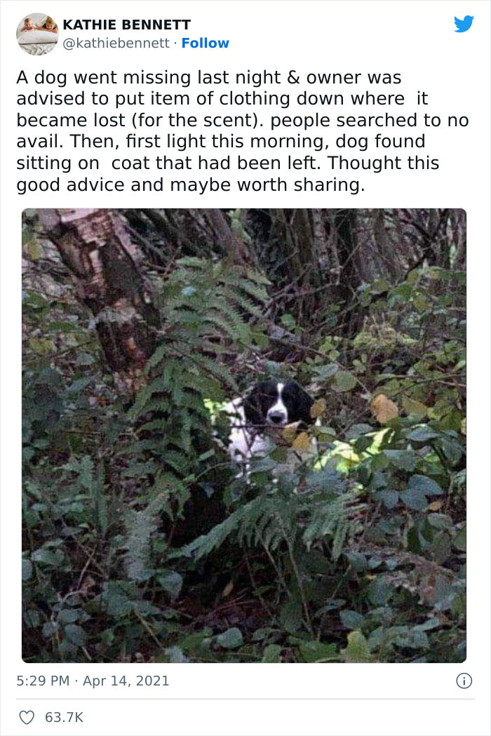 Very-Important-Positivity-Posts