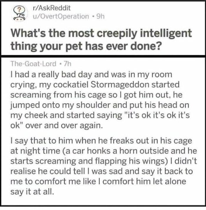 Very-Important-Positivity-Posts