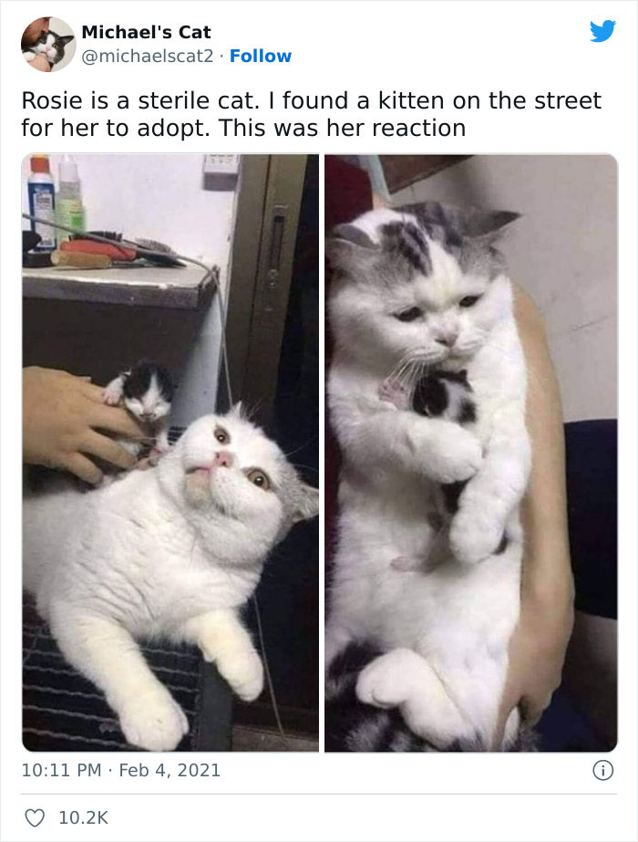 Very-Important-Positivity-Posts