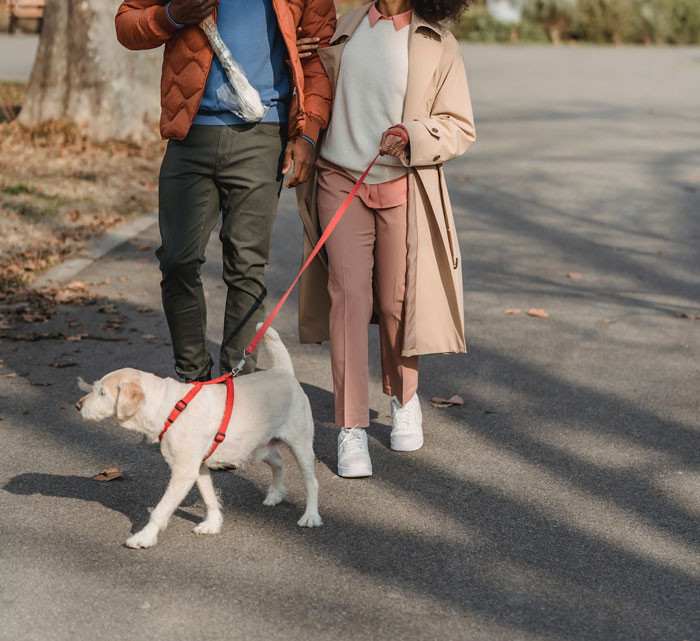 30 Vets Share The Best Pieces Of Advice They Wish All Pet Owners Knew