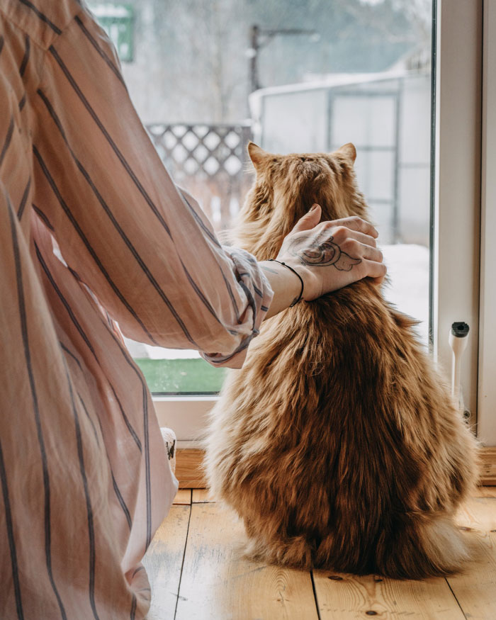 30 Vets Share The Best Pieces Of Advice They Wish All Pet Owners Knew