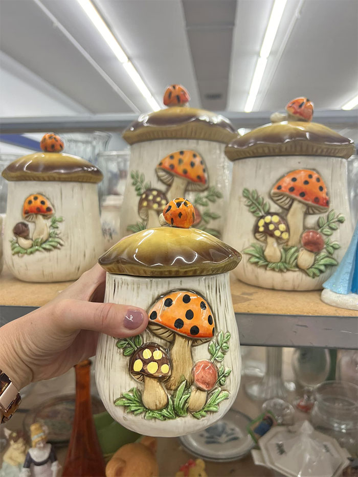 Y’all. I Found Them. I Freaking Found Them. I Wasn’t Even Planning On Going To Goodwill Today But I’m Looking For A Dresser For My Guest Room. I Was Shaking And My Heart Was Pounding And I Couldn’t Get Them In My Cart Fast Enough. They Look To Be In Almost Perfect Condition, Just Dusty. I’m Betting They’ve Been In Storage For A Long Time. Mesquite Texas