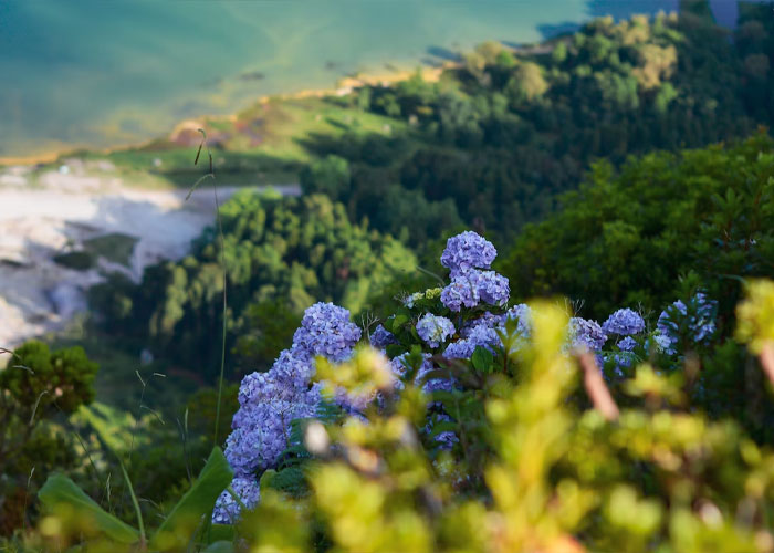 30 Things The US Does Better Than Most Countries