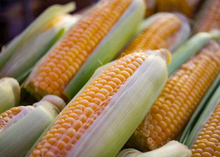 30 Things The US Does Better Than Most Countries