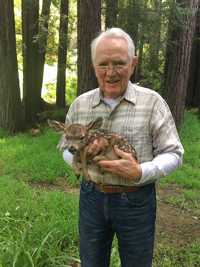 My Grandpa Rescued An Abandoned Baby Deer